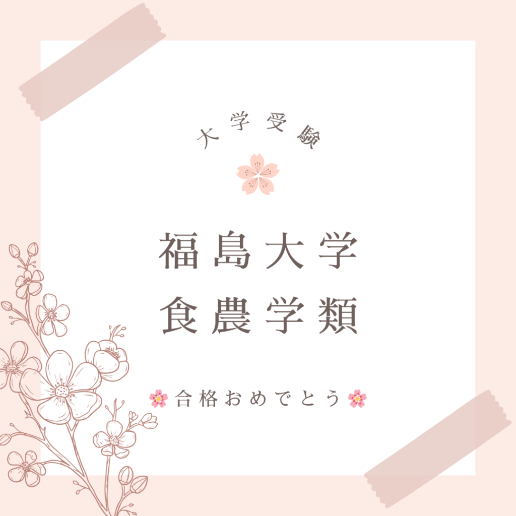 大学受験の合格実績です。
