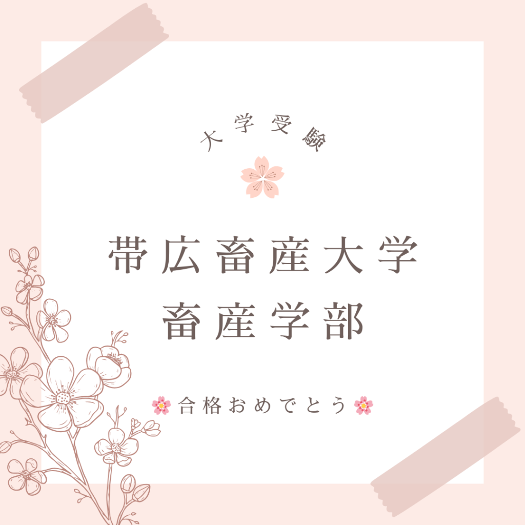 大学受験の合格実績です。