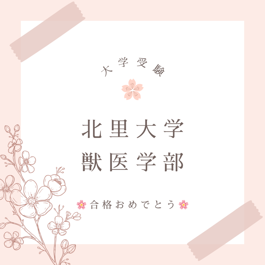 大学受験の合格実績です。
