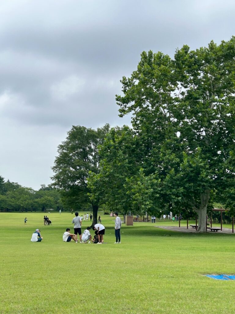 遠足に行った様子です。