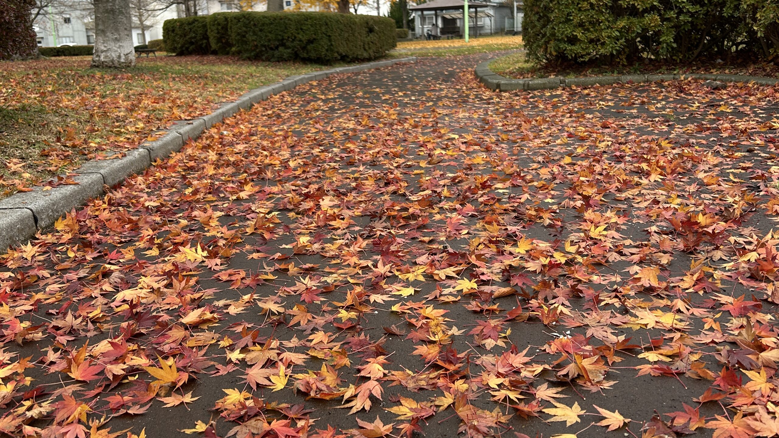 高校生テスト期間