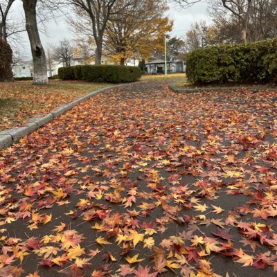 高校生テスト期間