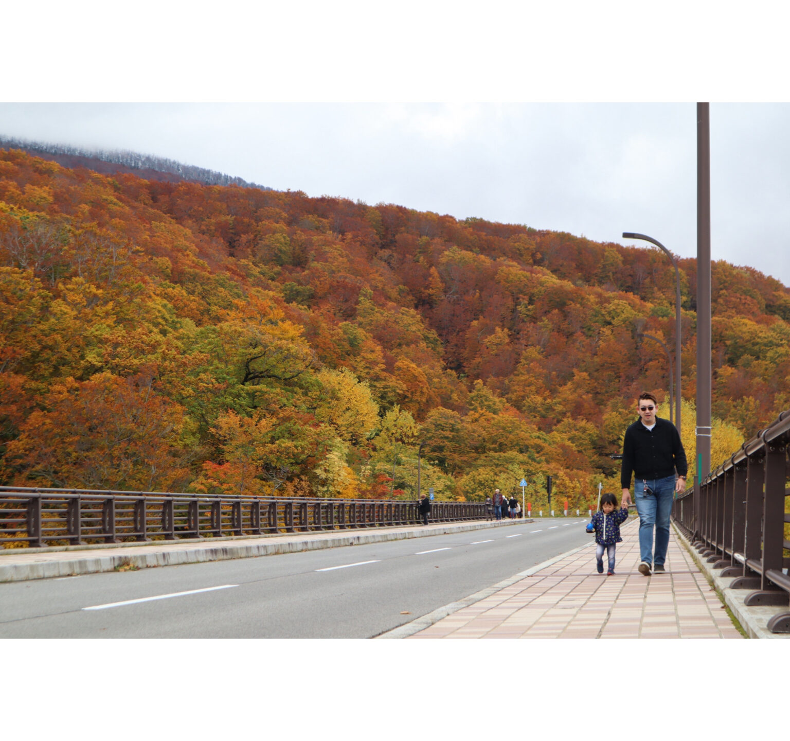 紅葉を見に行こうよう🍁