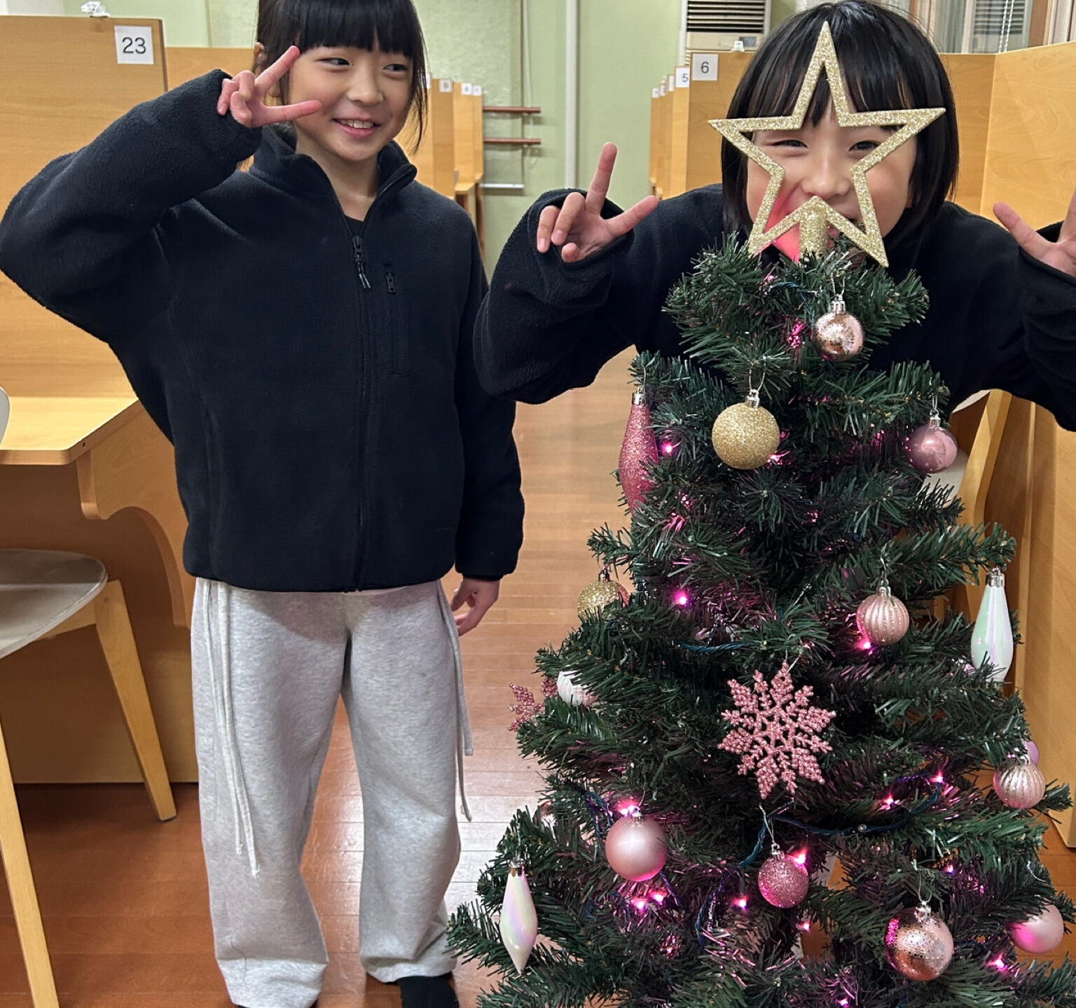 クリスマスツリーを飾ったよ🌲